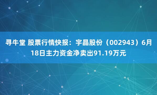 寻牛堂 股票行情快报：宇晶股份（002943）6月18日主力资金净卖出91.19万元
