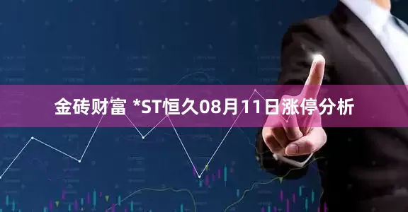 金砖财富 *ST恒久08月11日涨停分析