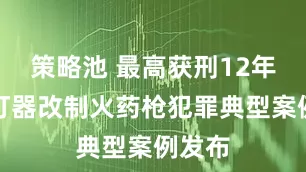 策略池 最高获刑12年，射钉器改制火药枪犯罪典型案例发布