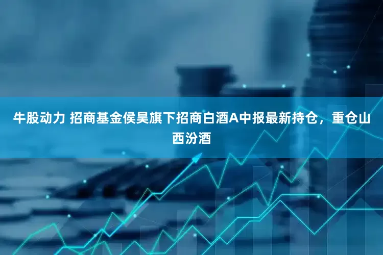 牛股动力 招商基金侯昊旗下招商白酒A中报最新持仓，重仓山西汾酒